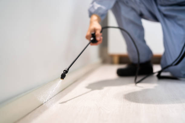 Licensed Termite Control service in Maple Heights, OH - Nex Pest Control