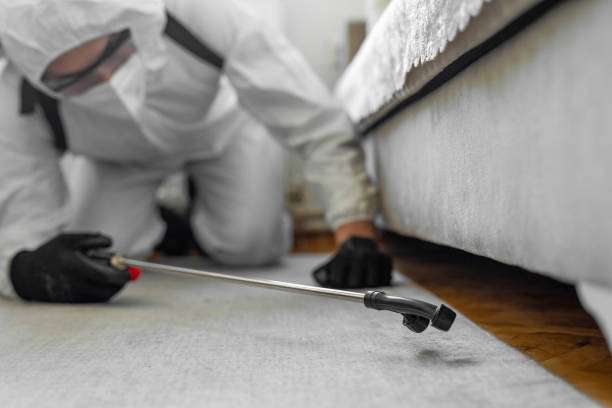 Professional Termite Control technician working in Maple Heights, OH