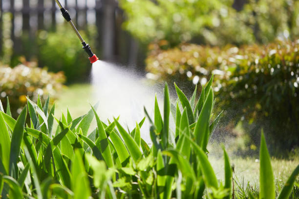 24/7 Emergency Termite Control experts in Maple Heights, OH