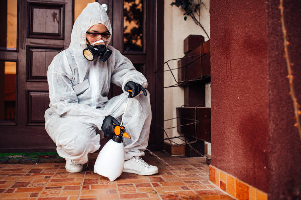 Reliable Termite Control contractor in Maple Heights, OH by Nex Pest Control