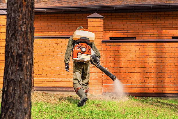 Top rated local Termite Control specialists in Maple Heights, OH